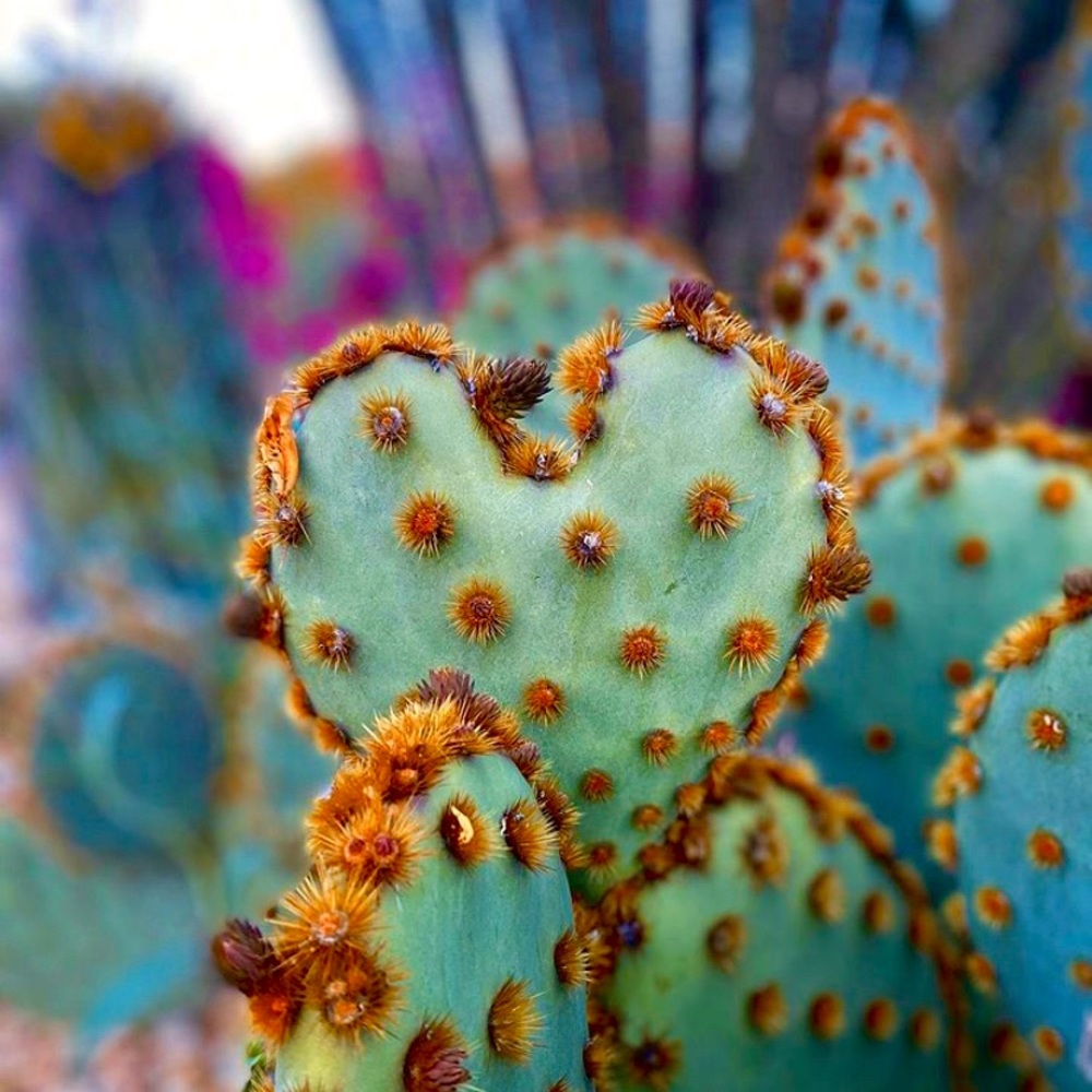 Meet your Posher, Kanani